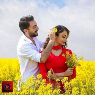 (::::Love:::)