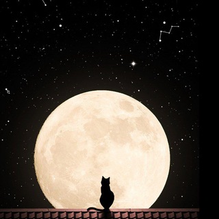 مــاوِریـ‌ـکــْس🕷️ᴍᴀᴠᴇʀɪᴄᴋꜱ