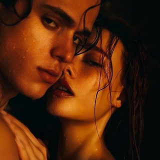 ╰┈⫸𝑻𝒉𝒆 𝑭𝒓𝒊𝒆𝒏𝒅𝒔𝒉𝒊𝒑 𝑺𝒉𝒊𝒑⫷┈┈╯