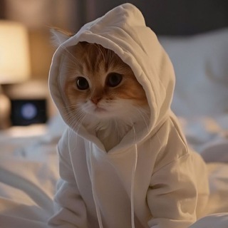 𝘗𝘌𝘙𝘚𝘖𝘕𝘈𝘓 𝘛𝘌𝘙𝘙𝘐𝘛𝘖𝘙𝘠