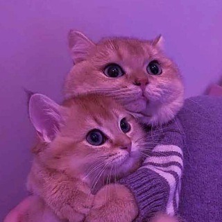 ༺ ♡ܭߊ‌ܦ̇ܘ ܥ‌‌ܝ̇ߺܥܼܢₕₘd♡ ༻