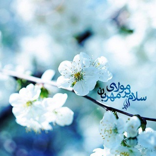 🦋گپ اَنْــصارُ الْــمَهْدی🦋