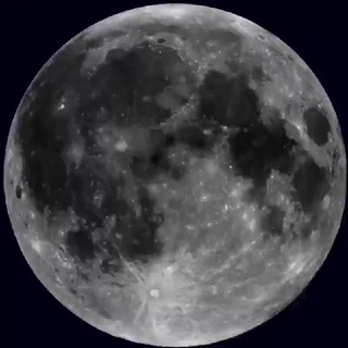 ❪❪𝐯𝐢𝐩 🇲 🇴 🇴 🇳 𝐠𝐩❫❫⃟🌙