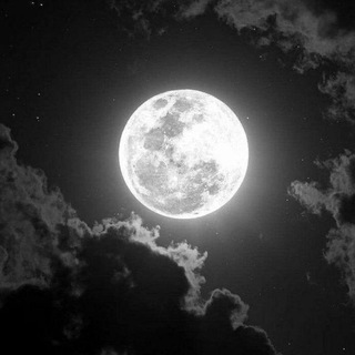 𖠄B‌‌i‌‌o‌‌༆ ‌‌m‌‌e‌‌🔥꙰