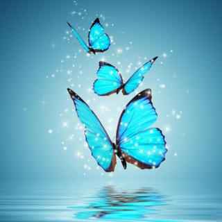 🦋❤️༻عشق ابـבے ༻❤️🦋