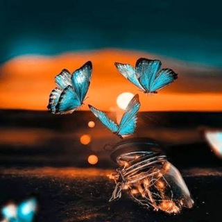 💜♪ Żᵃ𝓝ĴᗩⓃ ᵇ𝔸ˣ 🐚♪