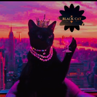 🐈‍⬛.𝑩𝑳𝑨𝑪𝑲 𓃠𝑪𝑨𝑻.🐈‍⬛