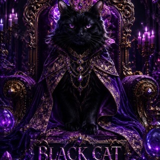🐈‍⬛.𝑩𝑳𝑨𝑪𝑲 𓃠𝑪𝑨𝑻.🐈‍⬛