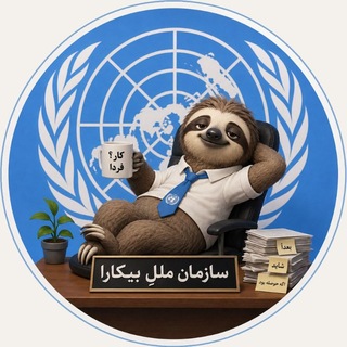 سازمان مللِ بیکارها