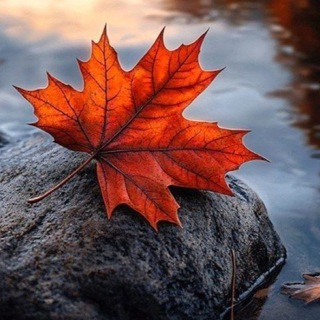 گپ رفقای خاص😍🍁😍😍