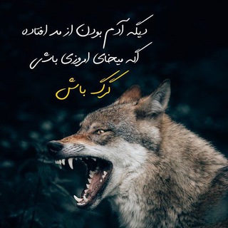 💘💖🥰امپراطوری گرگ ها🥰💖💘