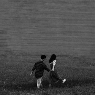 ✨DREAM🤍 LAND✨