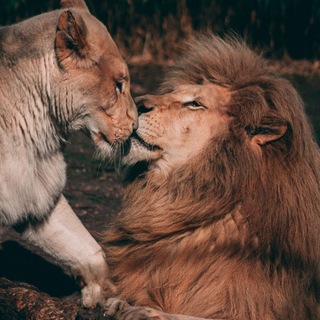 ❤️👑مـیـتــ𝕍𝔸ℍ𝕀𝔻ـیـنـگـ👑❤️