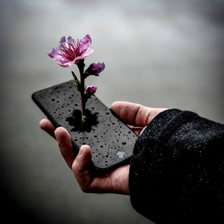 💗❤️‍🩹💯دوستان با مرام