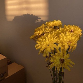 ✨ ͜͡ ͜͡دًّوٍرٌهًـــَـٍِـمّــ͜͡𓄂☾︎⃝ـ ͜͡S ͜͡✨