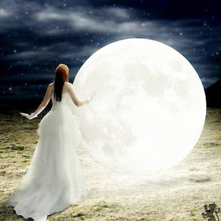 ✼ ҉ رؤیاے پرواز ҉ ✼